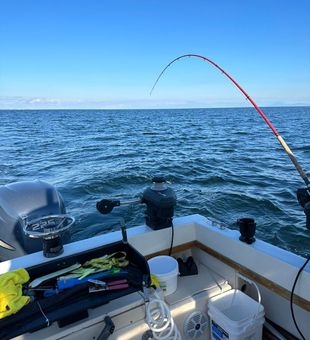 Fishing Near Nanaimo